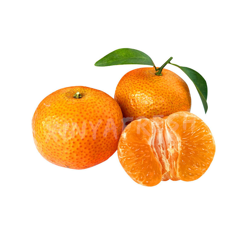 <tc>砂糖橘500g</tc>